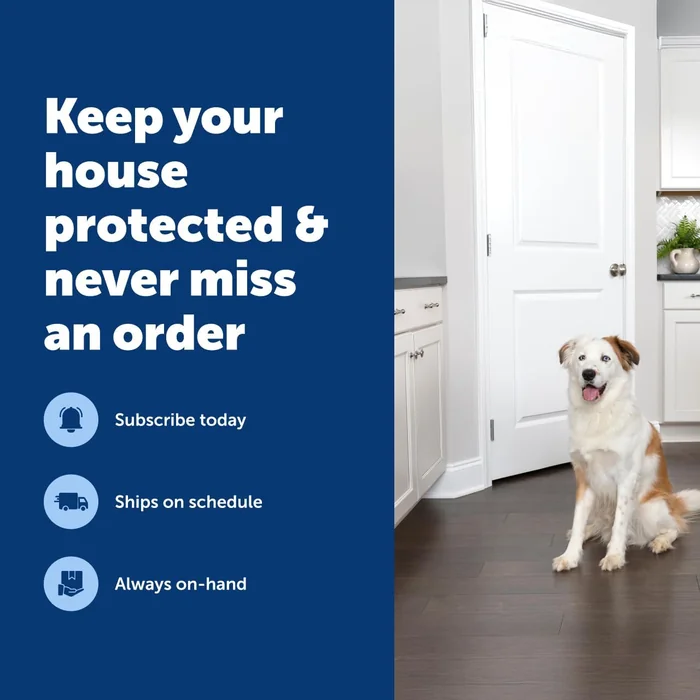 PetSafe SSSCAT Automatisches Spray Haustier Abschreckungsmittel - Kontaktlose Verhaltenskorrektur - Bewegungssensor Luftburst - Geruchlos - Nicht-Färbung - Vielseitiges Spray - Nachfüllkanne