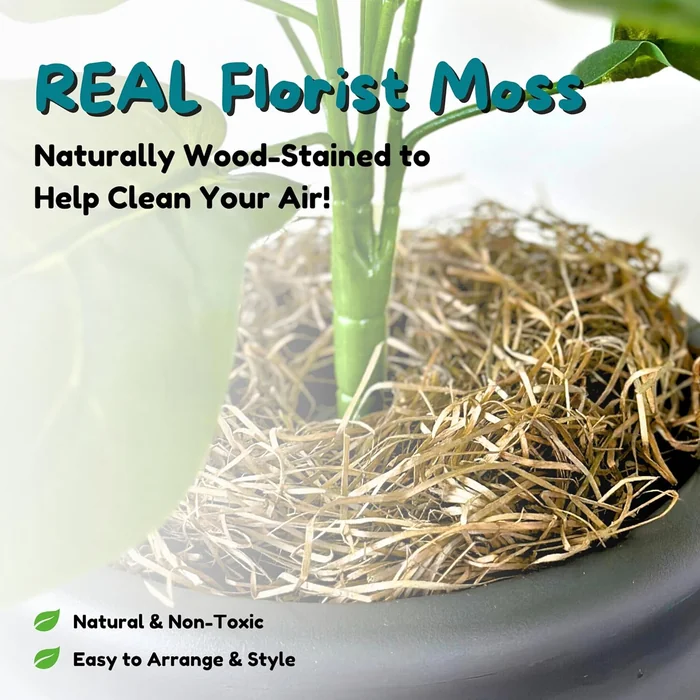 Good Pet Stuff Hidden Cat Litter Box Enclosure with Artificial Plant, Decorative Round Planter, Vented Carbon Charcoal Filter for Odor Control, Easy-to-Clean, Made in USA, Base Kit, Black