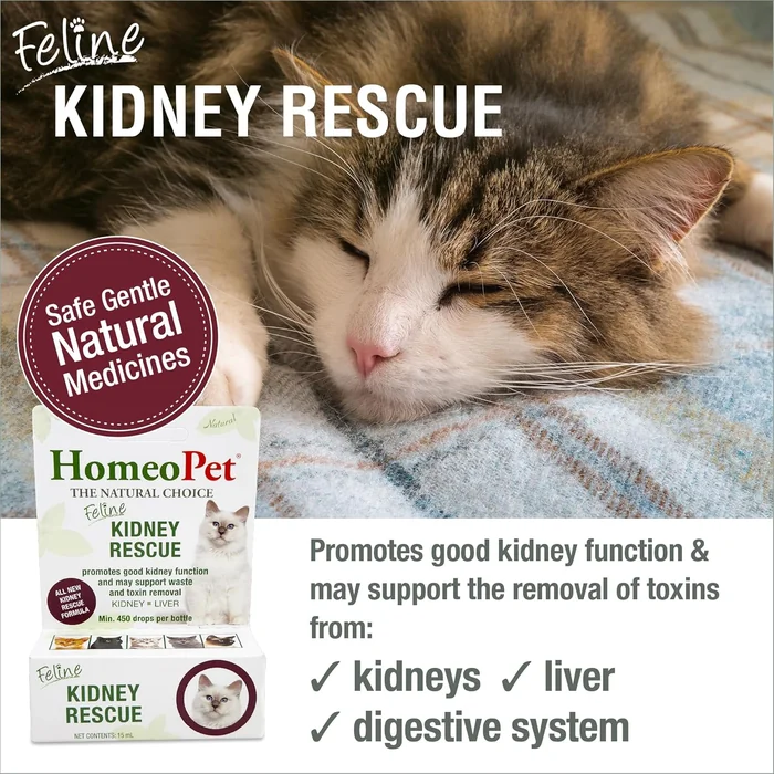 HomePetoFate Kidney Rescue, Supplément rénale sûr et naturel pour les chats et les chatons, 15 millilitres