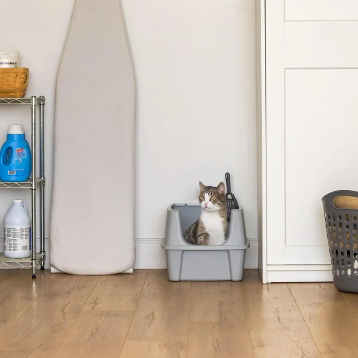 IRIS USA grande litière pour chats avec bouclier de dispersion et scoop, pan à litière pour chats haut latéralement ouvert, argent