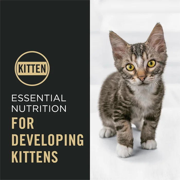 Purina Pro Plan Kitten Dry Food Complete Essentials Shredded Blend Chicken and Rice Formula - 6 lb. Bag