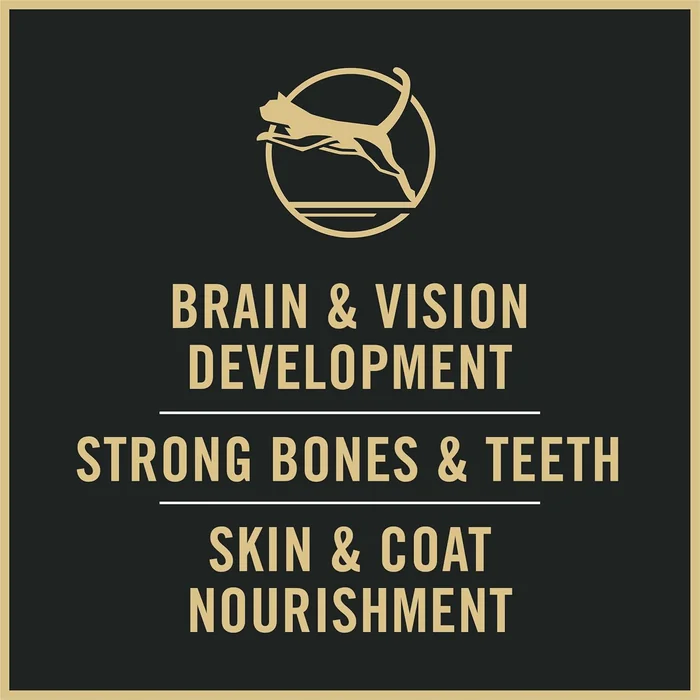 Purina Pro Plan Kitten Dry Food Complete Essentials Shredded Blend Chicken and Rice Formula - 6 lb. Bag