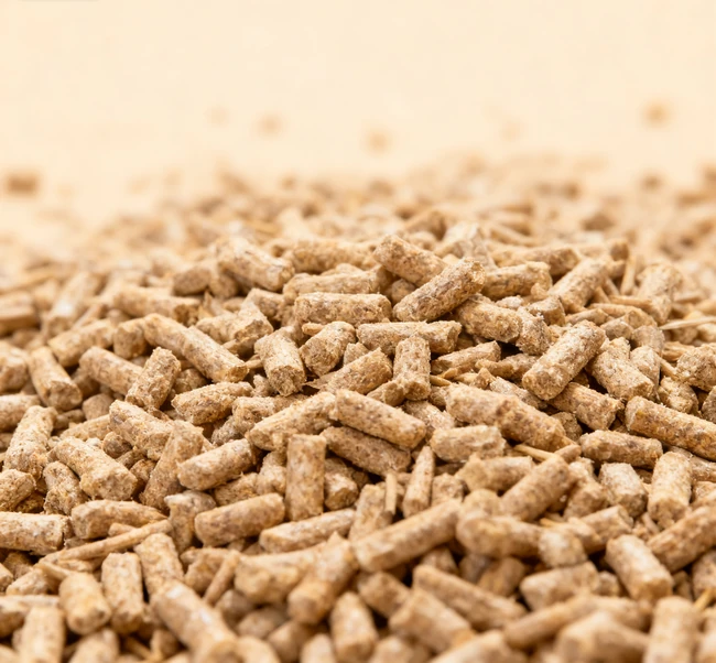 A content cat sitting next to a clean litter box filled with natural litter